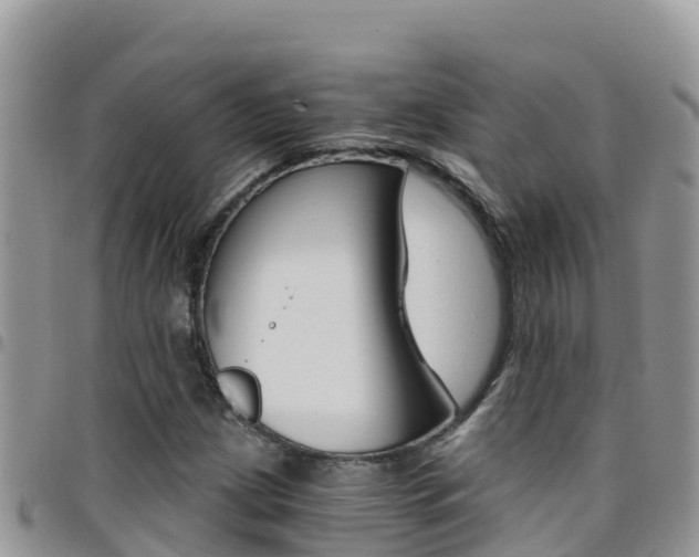 X0000096201209200801181023
