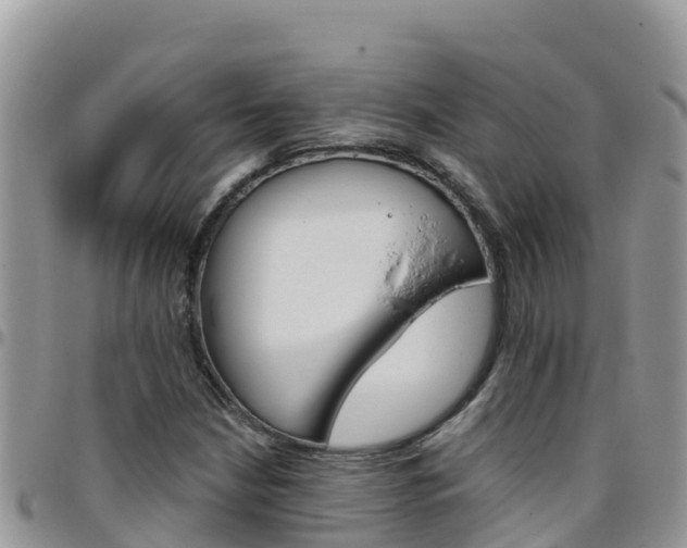 X0000096201210200801181023