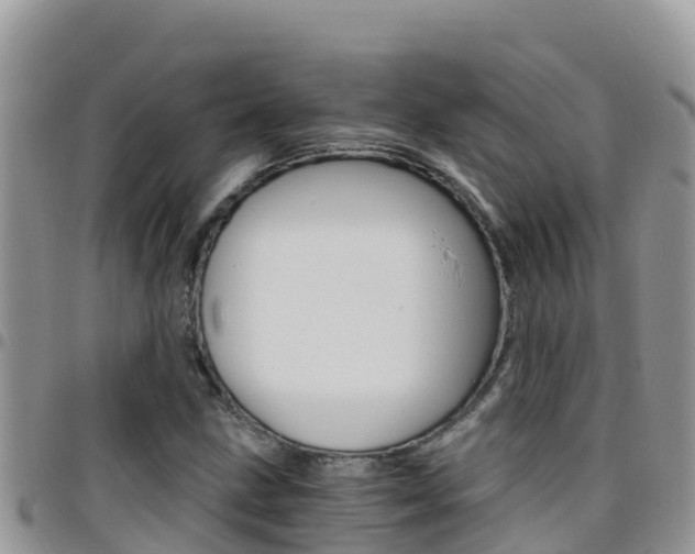 X0000096201211200801181023