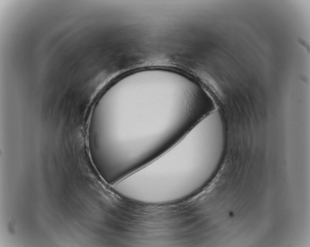 X0000096201212200801181023