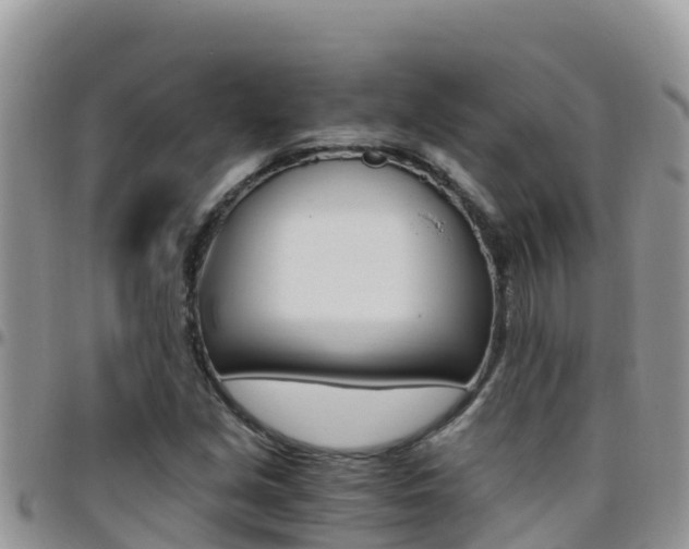 X0000096201213200801181023