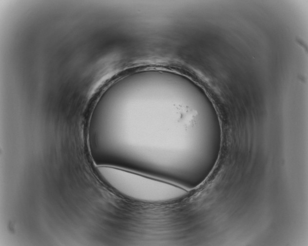 X0000096201214200801181023