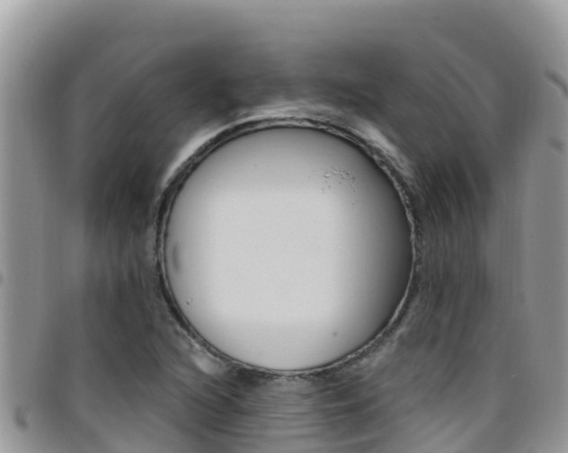 X0000096201216200801181023