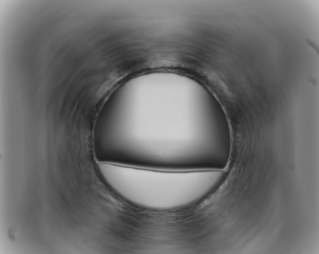X0000096201217200801181023