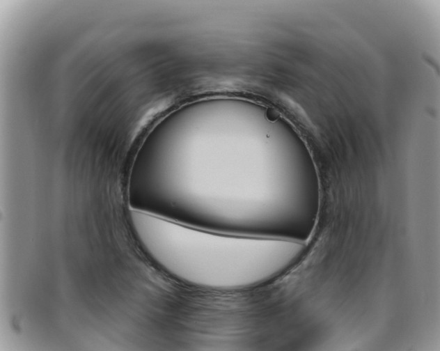 X0000096201218200801181023