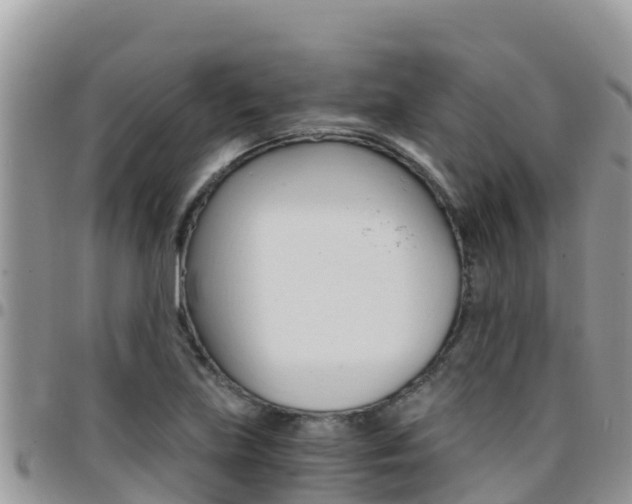 X0000096201219200801181023