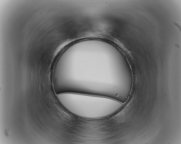 X0000096201222200801181023