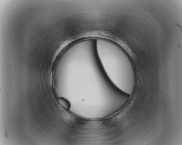 X0000096201224200801181023