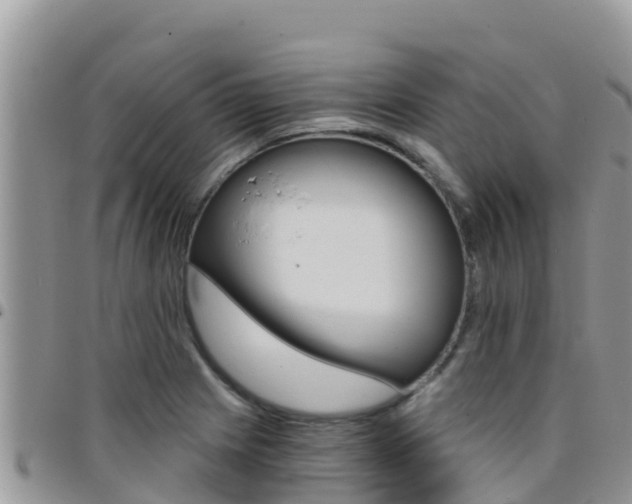 X0000096201225200801181023