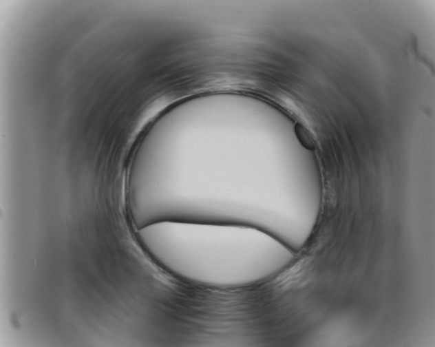 X0000096201227200801181024