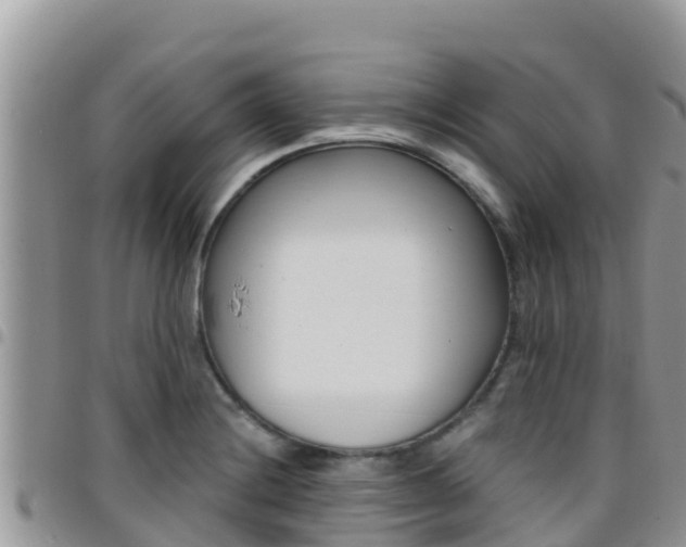 X0000096201228200801181024