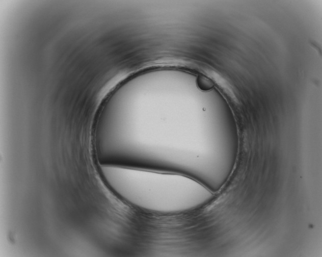 X0000096201229200801181024