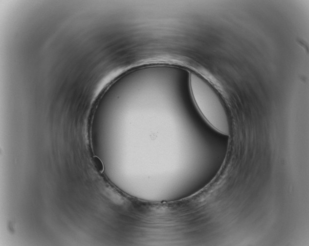 X0000096201230200801181024