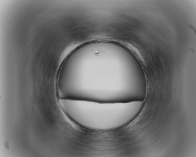 X0000096201231200801181024