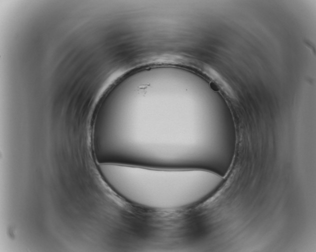 X0000096201232200801181024