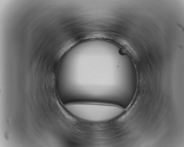 X0000096201233200801181024