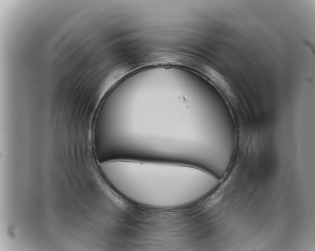 X0000096201234200801181024