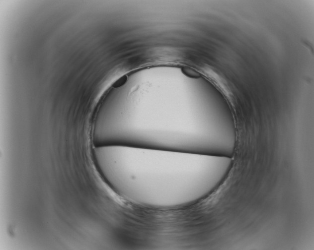 X0000096201235200801181024