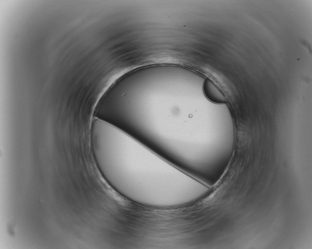 X0000096201236200801181024