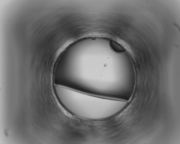 X0000096201237200801181024