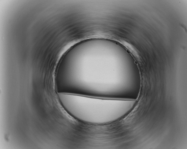 X0000096201238200801181024