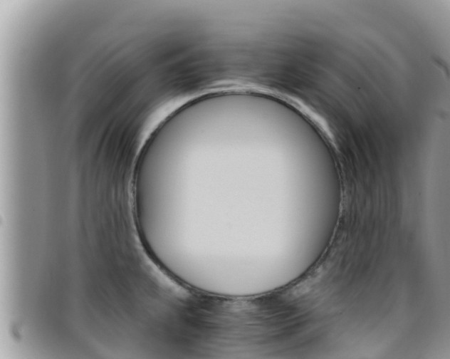 X0000096201239200801181024
