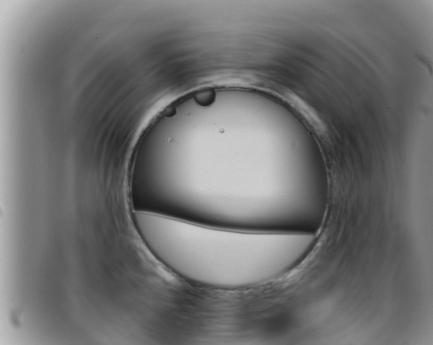 X0000096201240200801181024