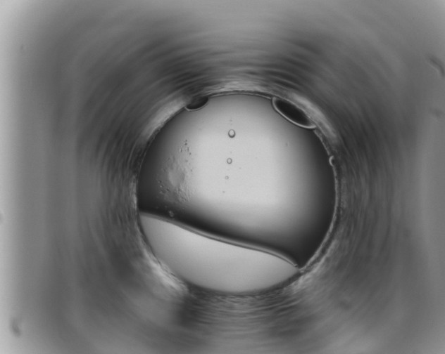X0000096201241200801181024