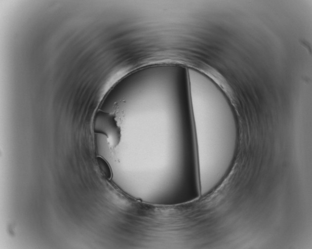 X0000096201242200801181024