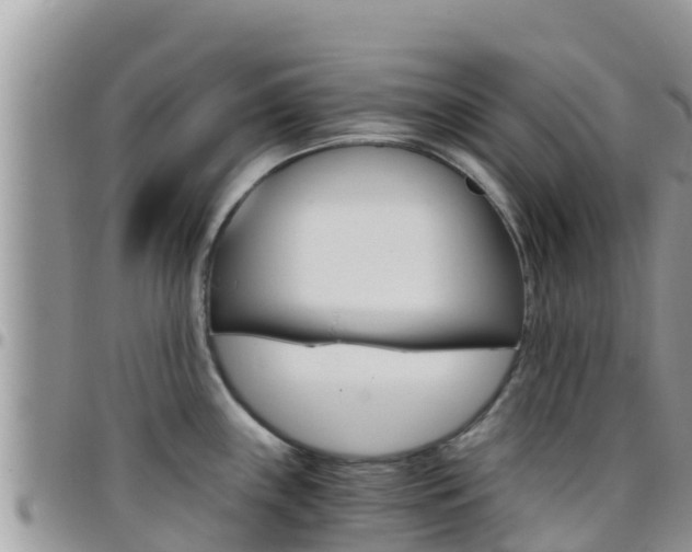 X0000096201243200801181024