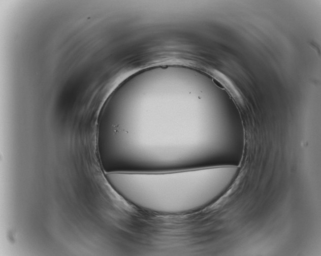 X0000096201244200801181024