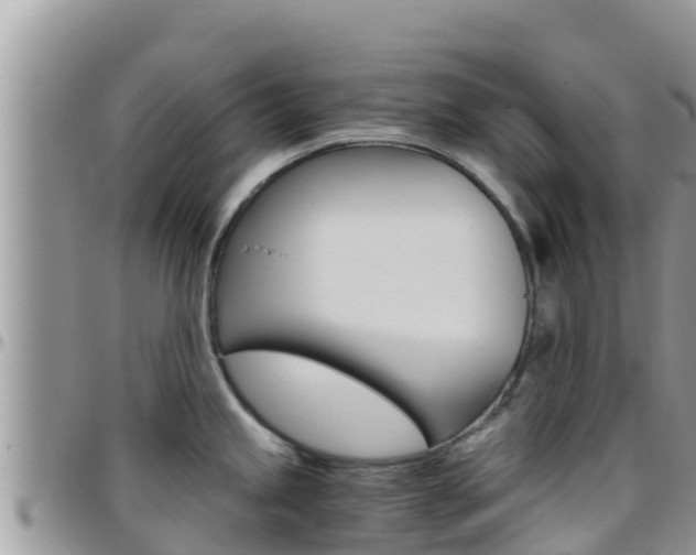 X0000096201245200801181024
