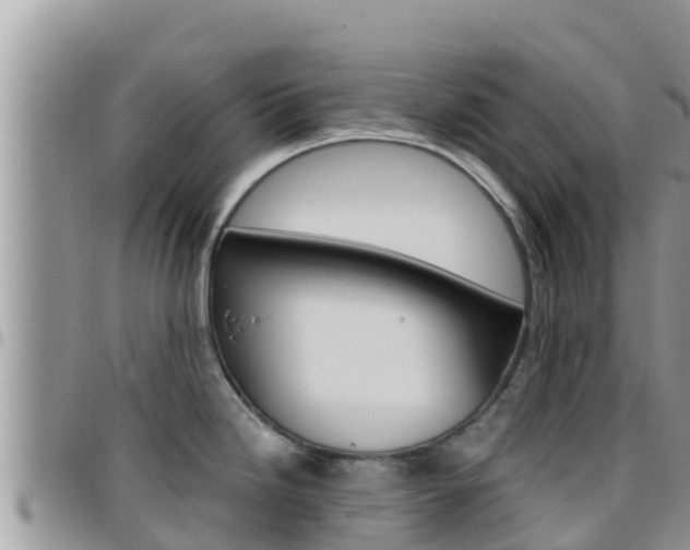 X0000096201246200801181024
