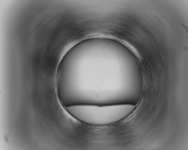 X0000096201247200801181024