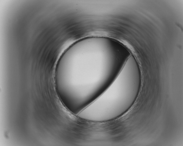 X0000096201248200801181024