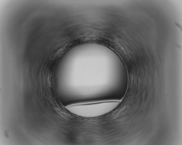 X0000096201250200801181023