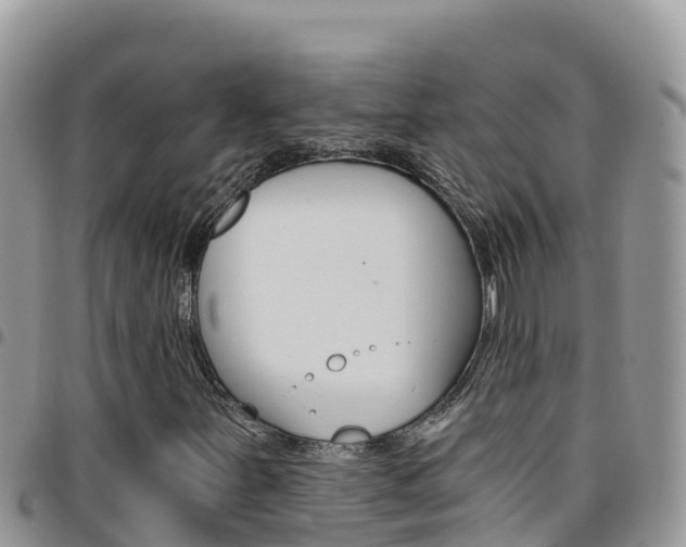 X0000096201251200801181023