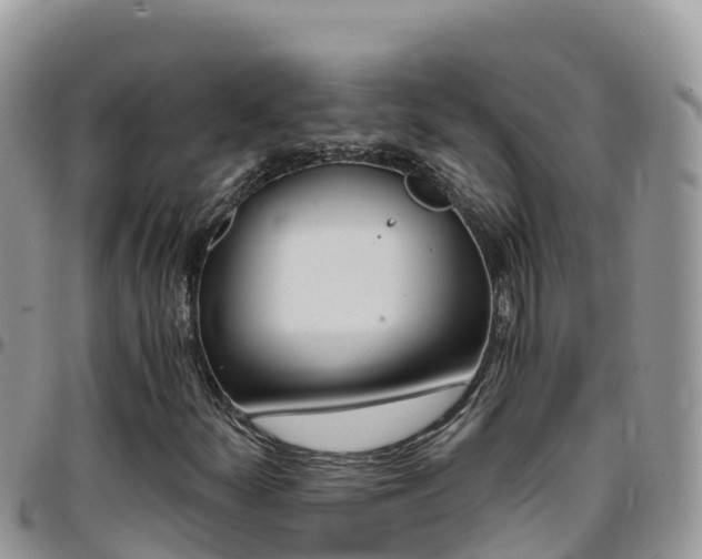X0000096201252200801181023