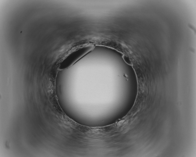 X0000096201253200801181023
