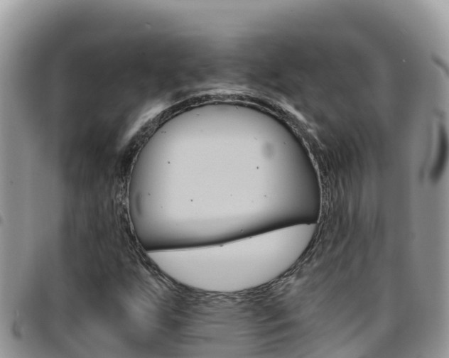 X0000096201255200801181023