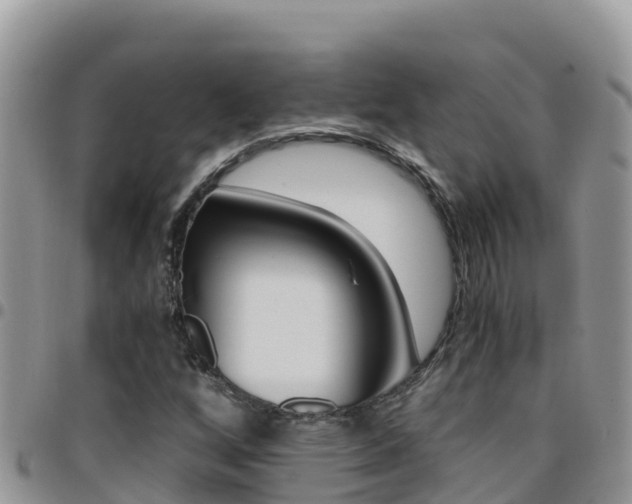 X0000096201256200801181023