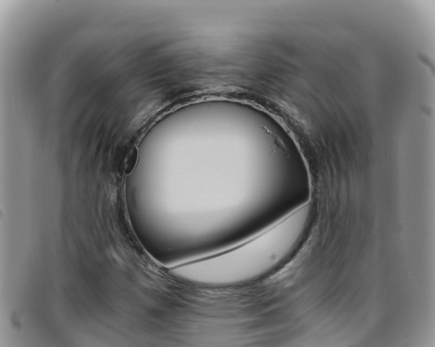 X0000096201257200801181023