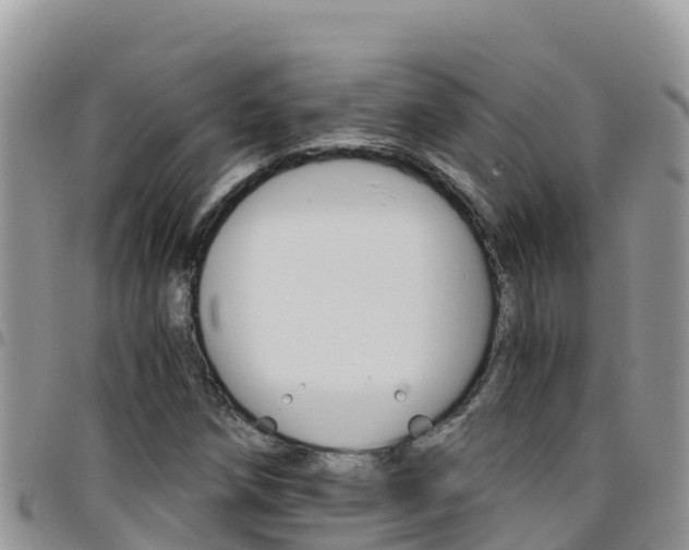 X0000096201258200801181023