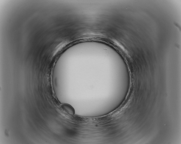 X0000096201259200801181023