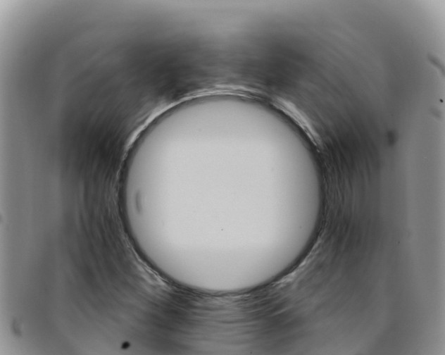 X0000096201260200801181023