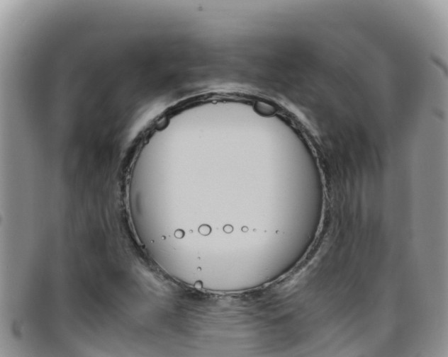 X0000096201263200801181023