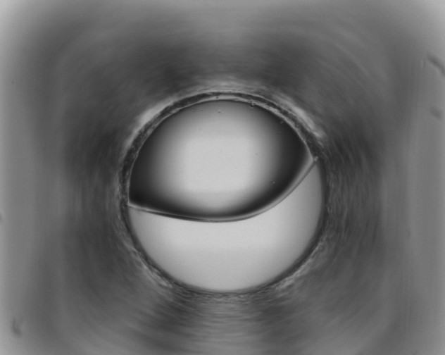 X0000096201264200801181023