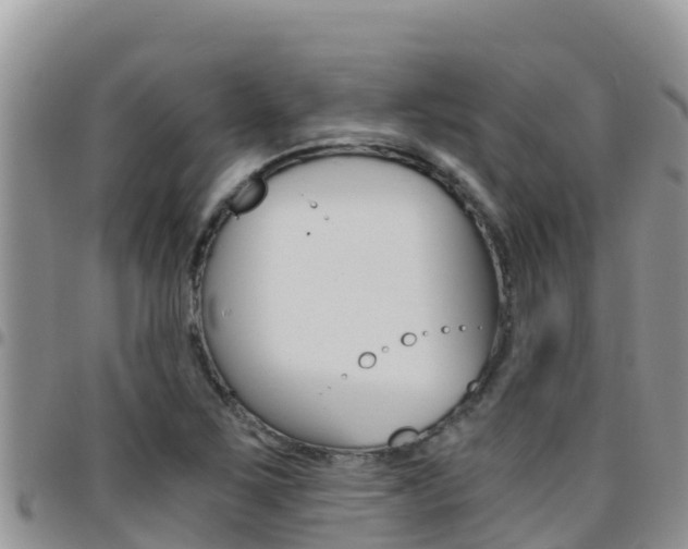 X0000096201267200801181023