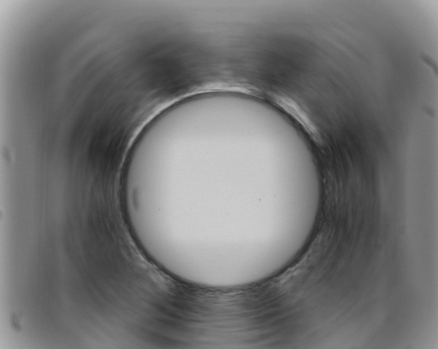X0000096201268200801181023