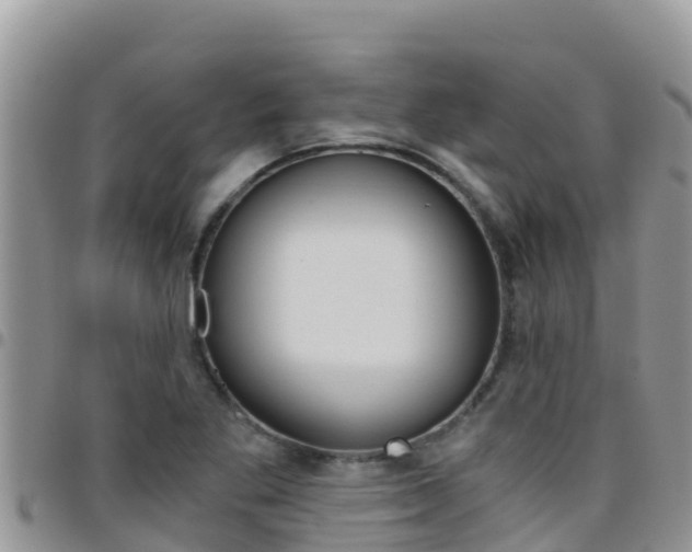 X0000096201269200801181023